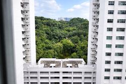 Blk 70C Telok Blangah Ridgeview (Bukit Merah), HDB 4 Rooms #520302221